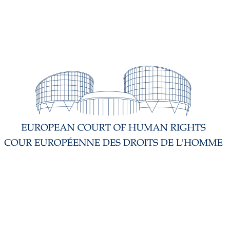 What Is The European Court Of Human Rights?